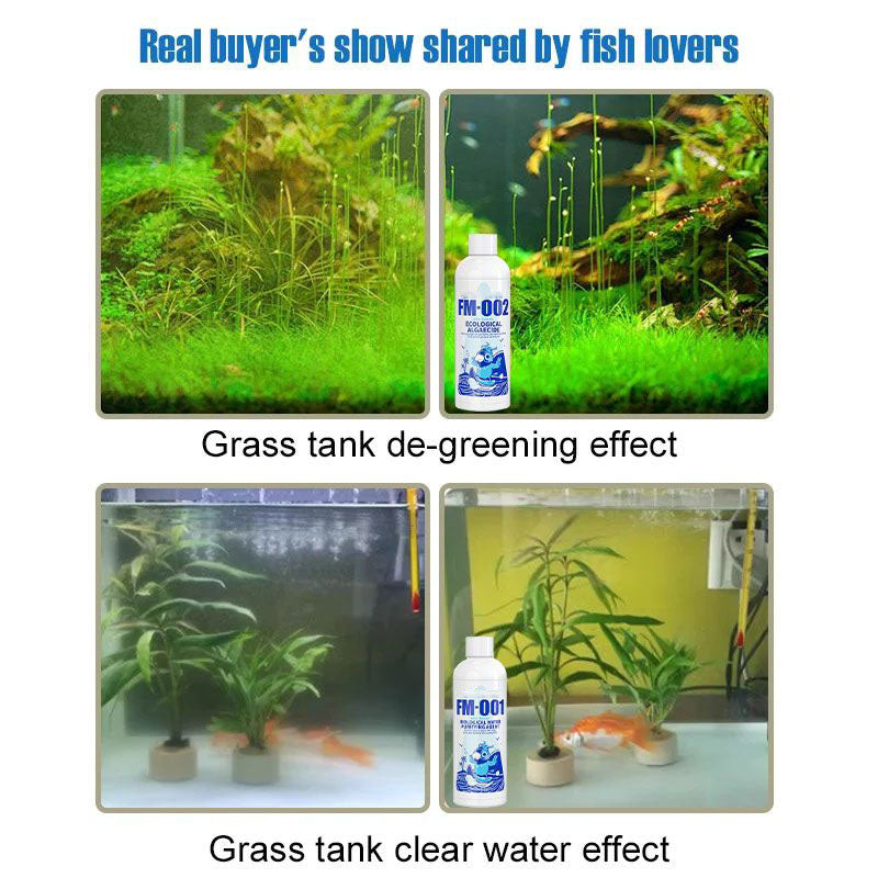 🐠 Half Price for a Limited Time 💦 Fish Tank Water Purifier Algaecide