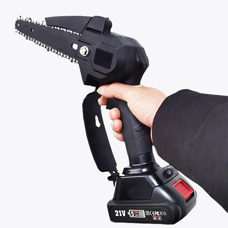 2-in-1 Cordless Pole Saw & Mini Chainsaw